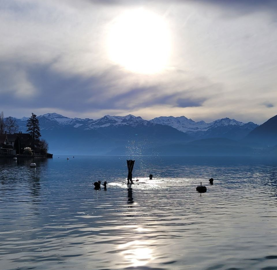 Divespots am Thunersee für Freitaucher